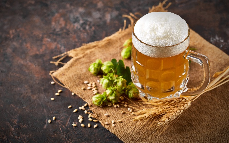 No momento, você está visualizando Cerveja puro malte, conheça seus 4 principais ingredientes