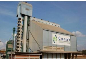 Leia mais sobre o artigo AGRICULTURA: Decreto cria gestão compartilhada na Conab