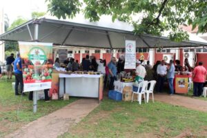 Leia mais sobre o artigo VG: Feira da Agricultura Familiar será realizada mensalmente