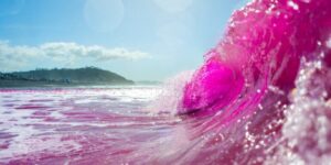 Leia mais sobre o artigo Cientistas ‘criam’ água do mar rosa em praia dos EUA