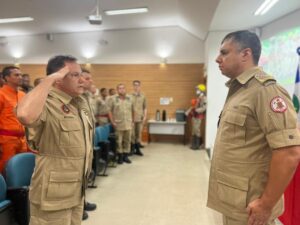 Leia mais sobre o artigo Bombeiros realizam curso com cães que atuam em salvamentos
