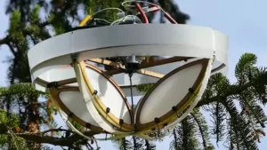 Leia mais sobre o artigo Drones coletam DNA de árvores para monitorar a biodiversidade