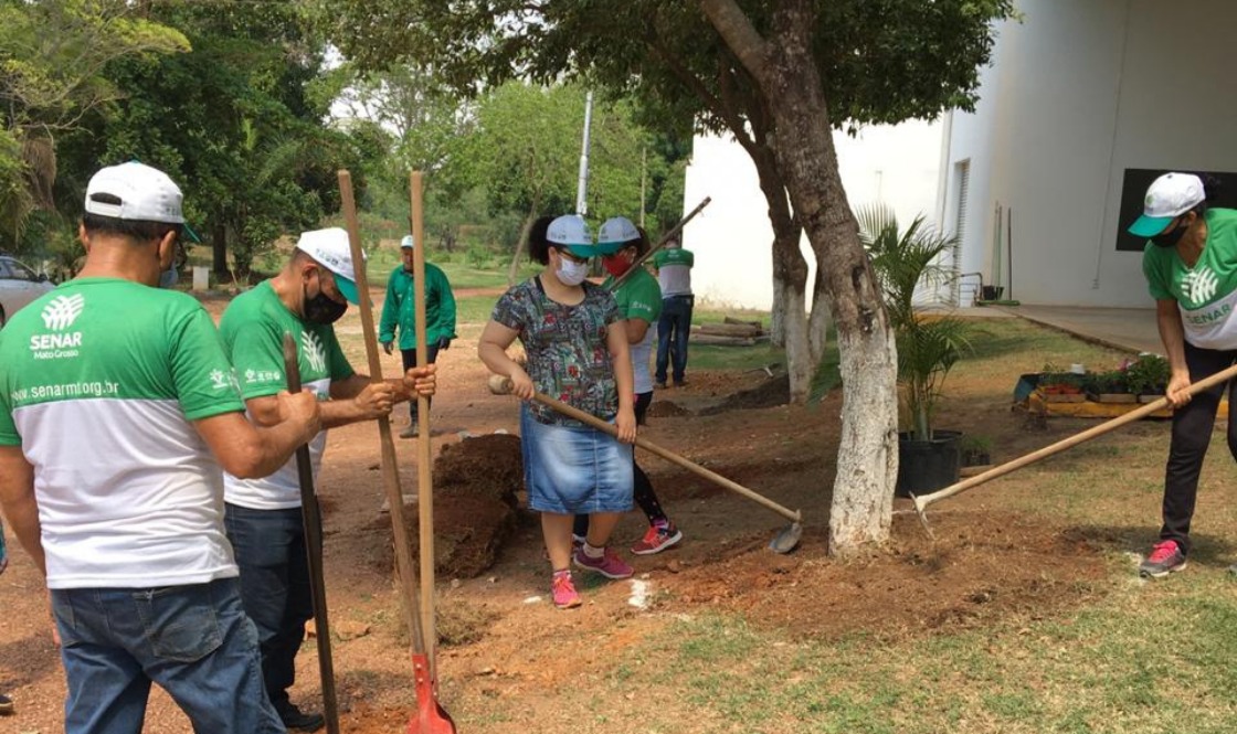 No momento, você está visualizando SENAR-MT abre vagas para curso gratuito de Jardinagem