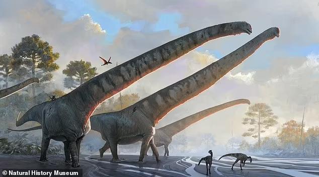 No momento, você está visualizando Descoberto fóssil de dinossauro com o maior pescoço de todos