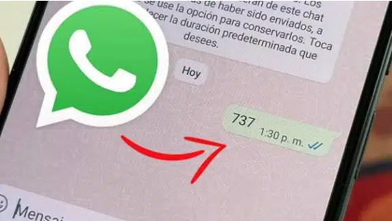 No momento, você está visualizando Por que os jovens de fora usam o número “737” no WhatsApp?