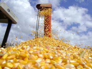 Leia mais sobre o artigo Ações de governo federal transformaram o agronegócio em Rondonópolis