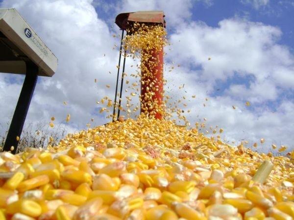 No momento, você está visualizando Ações de governo federal transformaram o agronegócio em Rondonópolis