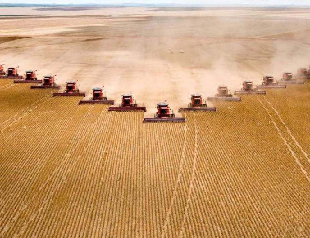 No momento, você está visualizando As cidades mais ricas do Brasil no agronegócio