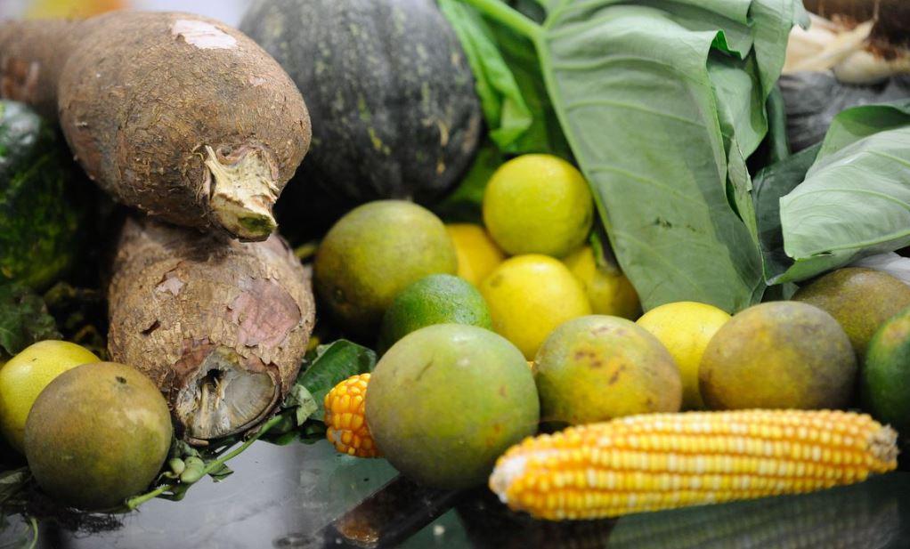No momento, você está visualizando Dia Mundial da Saúde: alimentação errada é grave