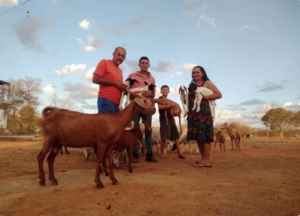 Leia mais sobre o artigo Transição agroecológica beneficia economicamente os agricultores