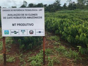 Leia mais sobre o artigo Empaer e parceiros promovem Dia de Campo para divulgar café Amazônico