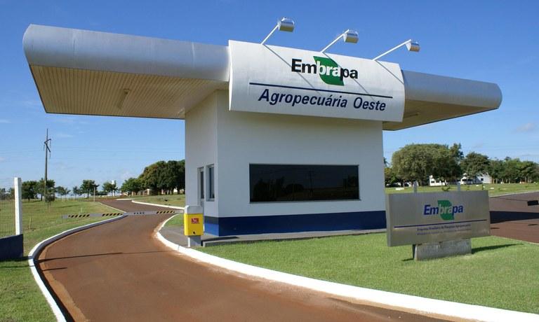 No momento, você está visualizando Embrapa disponibiliza mais de 70 cursos online gratuitos