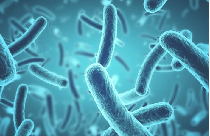 No momento, você está visualizando Identificada bactéria intestinal que pode causar Parkinson
