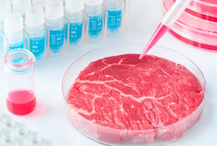 No momento, você está visualizando Carne criada em laboratório é liberada para consumo