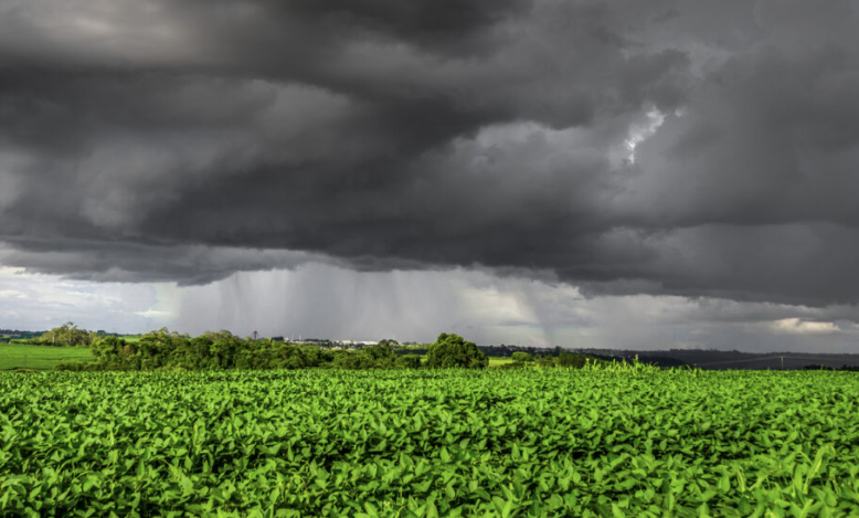 No momento, você está visualizando Chuva artificial para combater a seca é aposta nos EUA