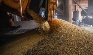 Leia mais sobre o artigo Ipea revisa crescimento do PIB agro para 2023 de 11,6% para 13,2%