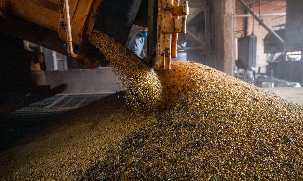 No momento, você está visualizando Ipea revisa crescimento do PIB agro para 2023 de 11,6% para 13,2%