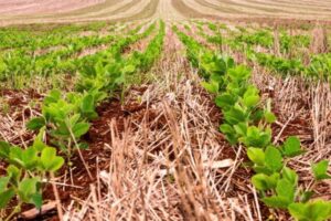 Leia mais sobre o artigo SUPER EL NINO: Brasil deve ser um dos mais atingidos