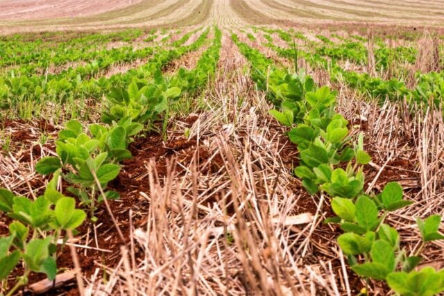 No momento, você está visualizando SUPER EL NINO: Brasil deve ser um dos mais atingidos
