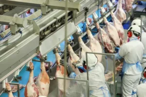 Leia mais sobre o artigo Agronegócio lidera as exportações da indústria