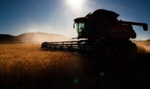 Leia mais sobre o artigo Governo faz ajustes em programas de concessão de crédito rural
