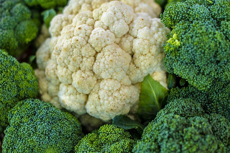 No momento, você está visualizando SEM DISPOSIÇÃO? Conheça 10 alimentos ricos em ferro