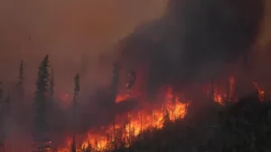 Leia mais sobre o artigo Incêndios deixam um rastro de destruição na Grécia