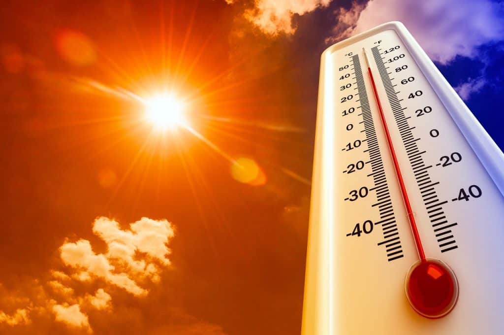 No momento, você está visualizando Ondas de calor podem ter matado mais de 61 mil europeus