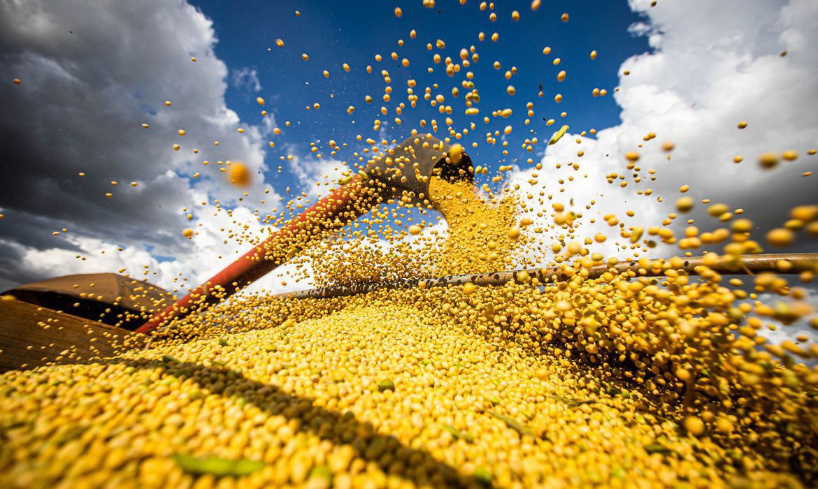 No momento, você está visualizando Produção de grãos chegará a 390 milhões de toneladas em 10 anos