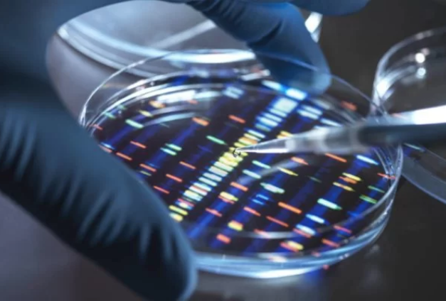 No momento, você está visualizando Cientistas conseguem sequenciar o cromossomo Y pela 1a. vez