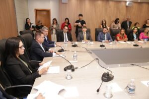 Leia mais sobre o artigo ALMT e Gaepe-MT querem aumentar recursos no orçamento das creches