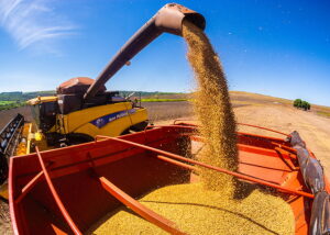Leia mais sobre o artigo Cidade do agro exporta mais que Estados
