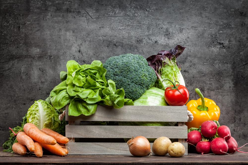 No momento, você está visualizando Evento preparatório da Conferência Segurança Alimentar é na terça feira
