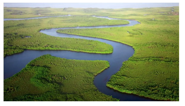 No momento, você está visualizando ALMT debate projetos para o BID Pantanal