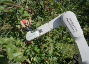 Leia mais sobre o artigo Soluções de IA do marketing à agricultura