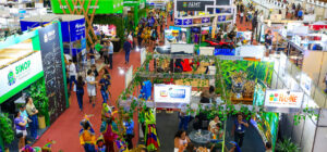 Leia mais sobre o artigo Fecomércio e governo de MT lançam FIT Pantanal 2024