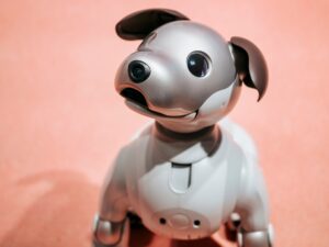 Leia mais sobre o artigo Programa de ‘adoção’ para cães-robôs idosos é lançado