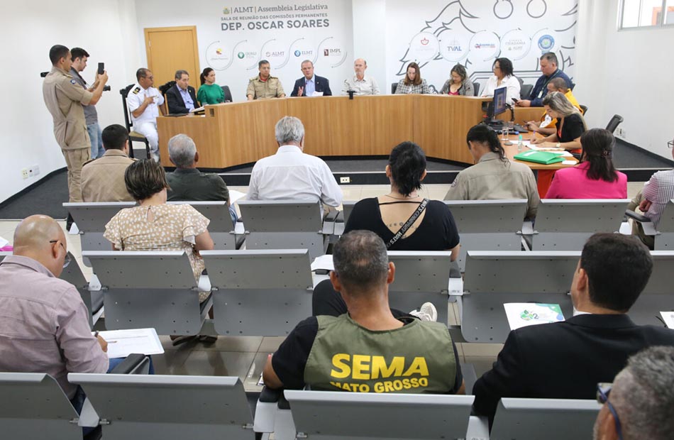 No momento, você está visualizando ALMT debate estratégias para combater incêndio no Pantanal