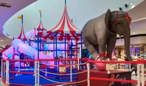 Leia mais sobre o artigo Circo Kids chega em Cuiabá com muita magia e diversão