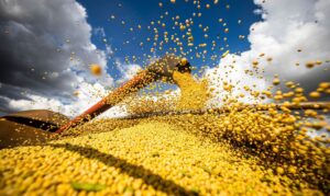 Leia mais sobre o artigo Safra agrícola deverá superar 318 milhões de toneladas neste ano