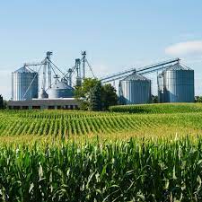 Leia mais sobre o artigo Agroindústria brasileira tem novo mês de desempenho positivo