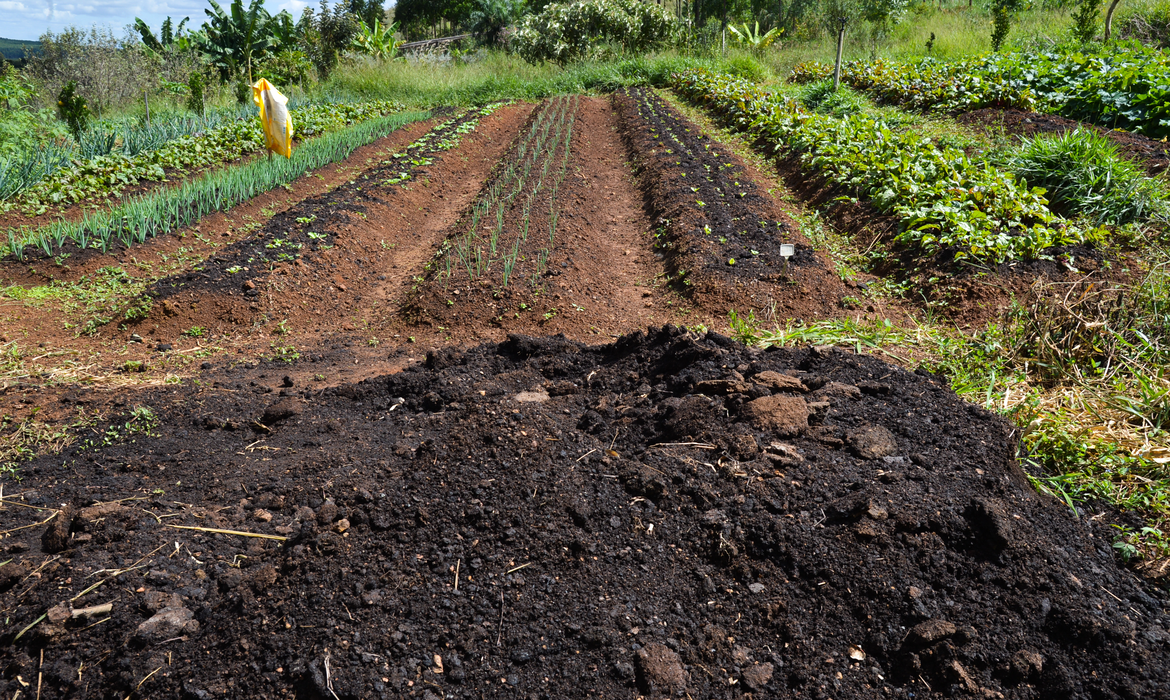 No momento, você está visualizando Efeitos negativos são quase 10% do PIB global, diz FAO