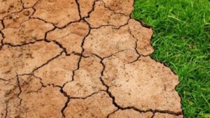 Leia mais sobre o artigo El Niño pode durar pelo menos até abril de 2024, estima ONU