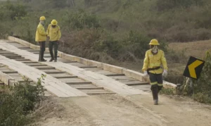 Leia mais sobre o artigo Incêndios em Mato Grosso e Mato Grosso do Sul estão controlados