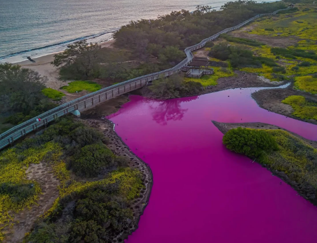 No momento, você está visualizando Lago no Havaí fica rosa e acende alerta; entenda o fenômeno