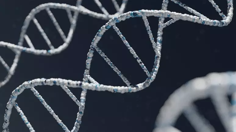No momento, você está visualizando Cientistas podem ter achado a resposta para o TDAH em genes únicos
