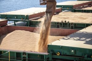 Leia mais sobre o artigo Soja impulsiona recorde de exportações do agronegócio