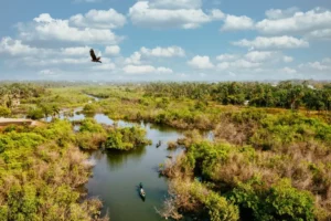 Leia mais sobre o artigo VIAJAR: Conheça os principais destinos de Mato Grosso