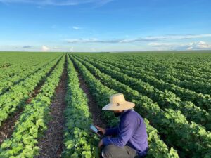 Leia mais sobre o artigo Conheça as 5 tendências para o agronegócio em 2024