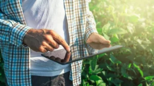Leia mais sobre o artigo Conheça os cargos do agronegócio em alta para 2024